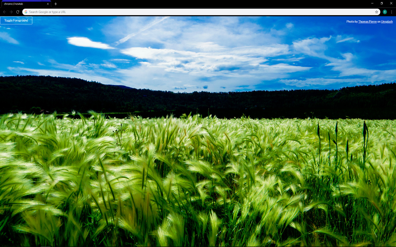 Condensed Grid Bookmarks