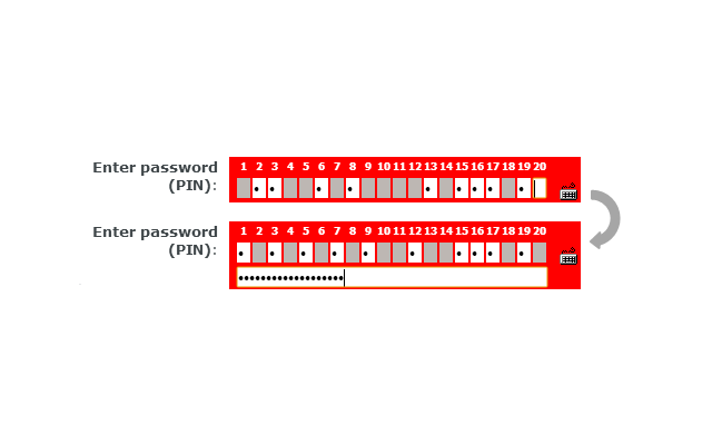 Regular password field for BZWBK24
