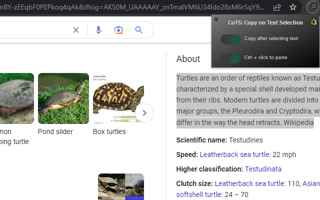 CoTS: Copy on Text Selection