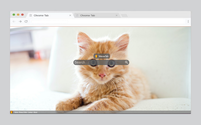 MeowTab: World of Feline Fun