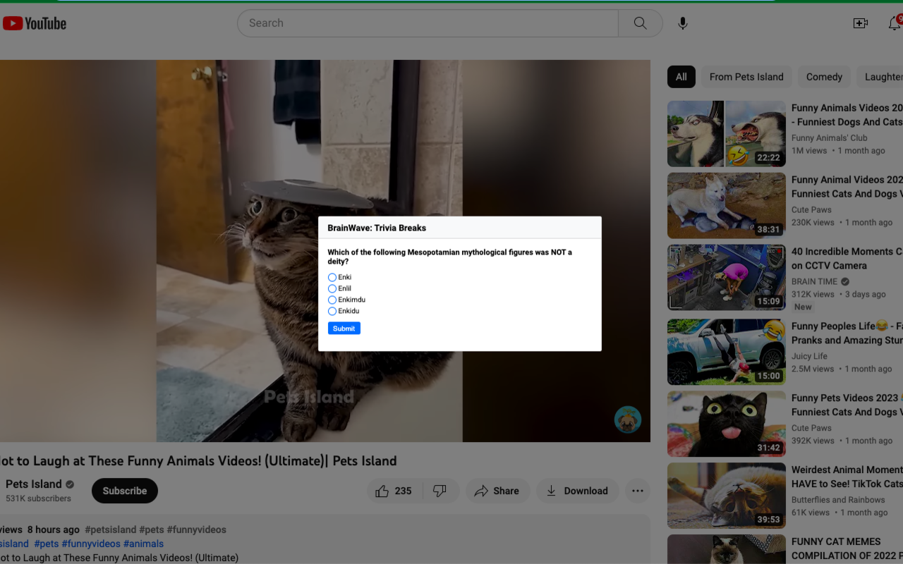 BrainWave: Trivia Breaks