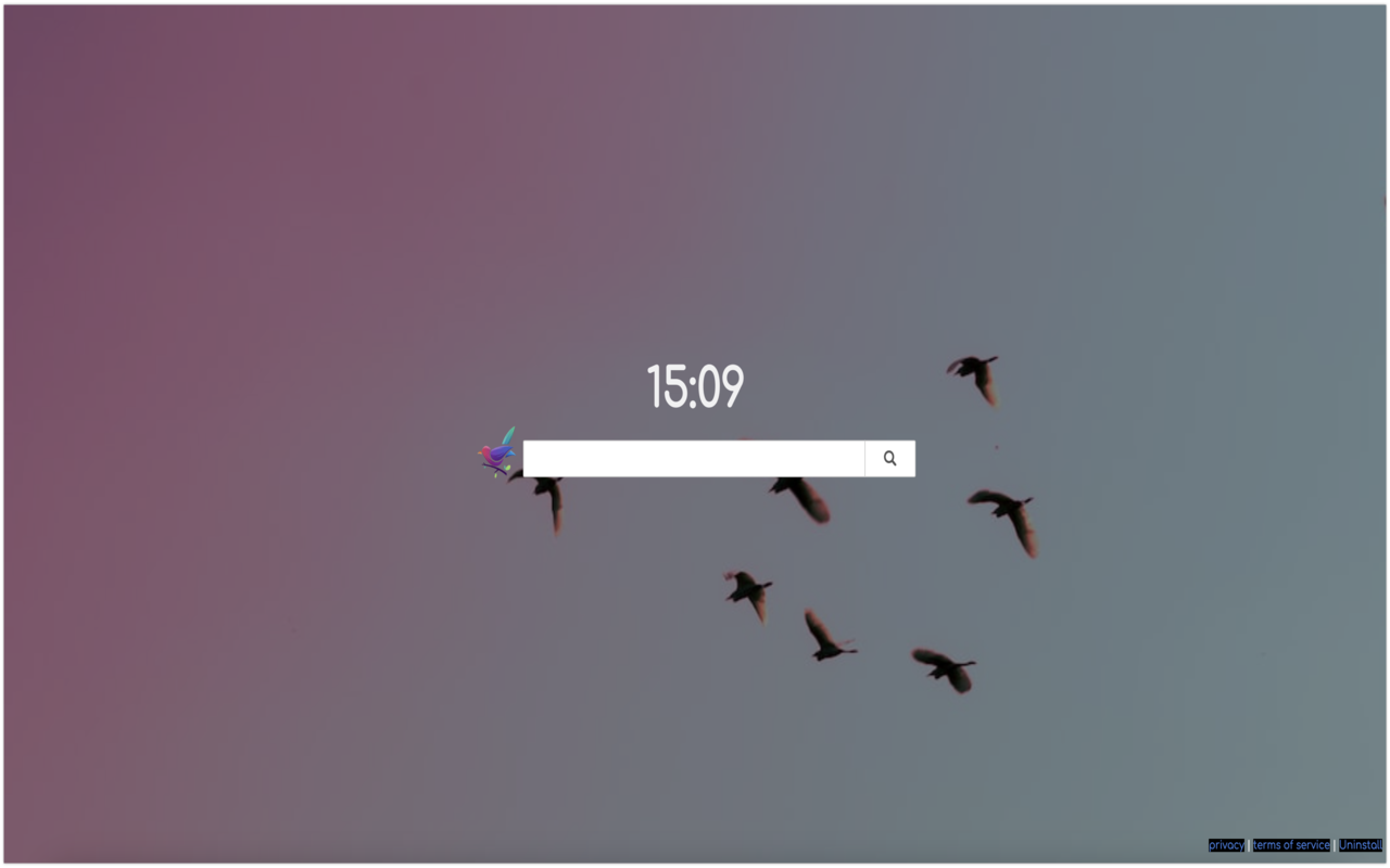 Birds Backgrounds