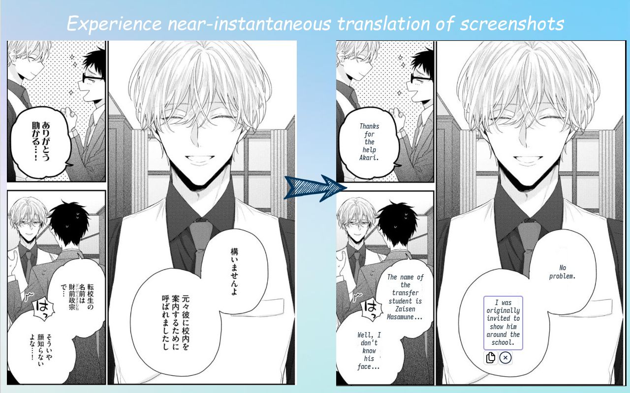 Birdie Screenshot Translator