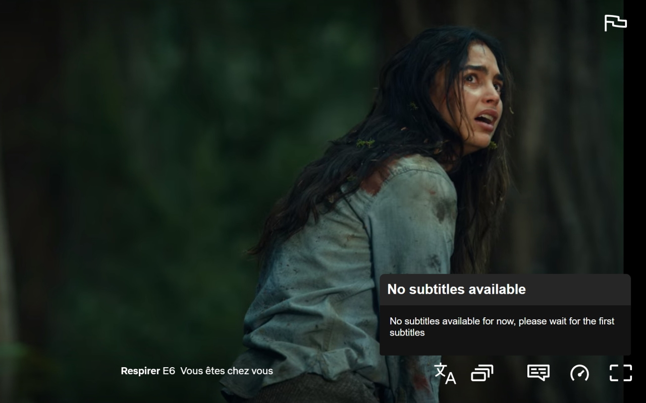 Subtitle Translator Netflix