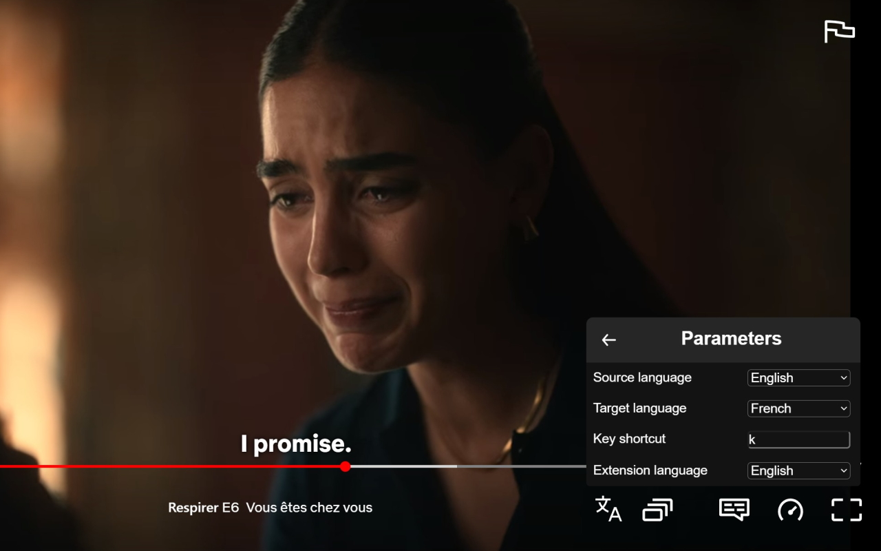 Subtitle Translator Netflix