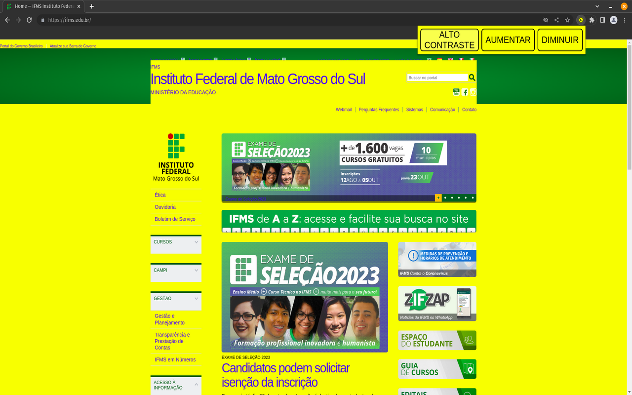 Acessibilidade Visual