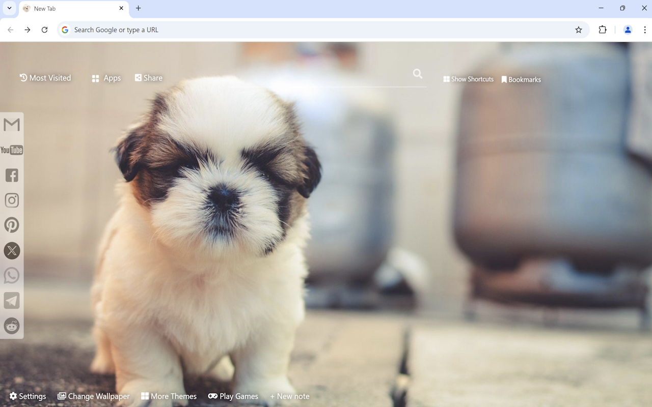 Cute Dogs & Puppies Wallpaper