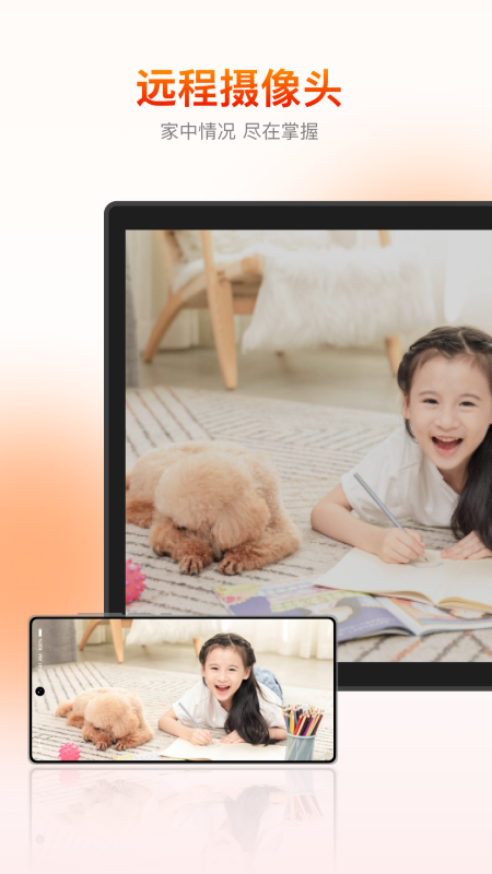 向日葵客户端被控制app