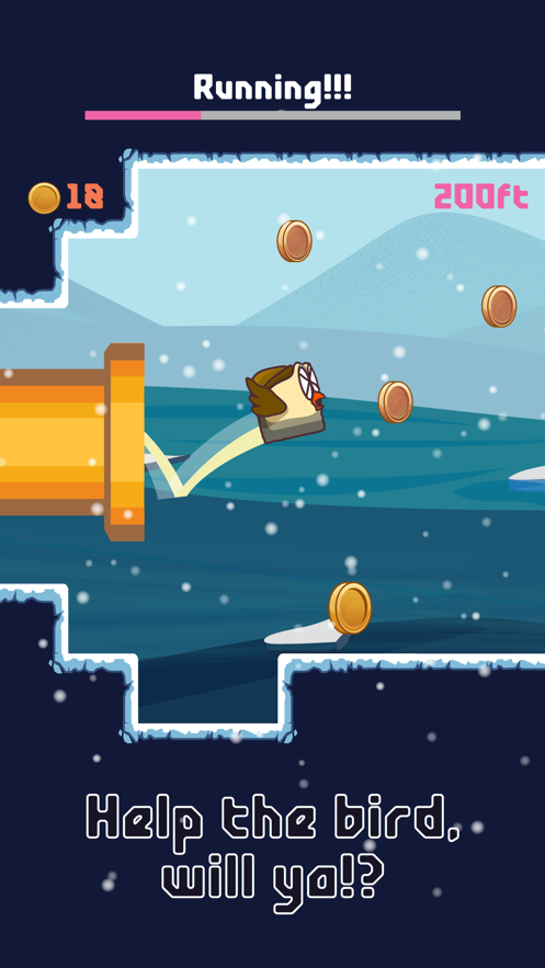 Bird Watch Game游戏