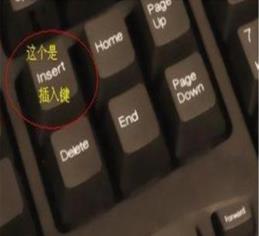 word文档打字时会消掉后面字怎么办