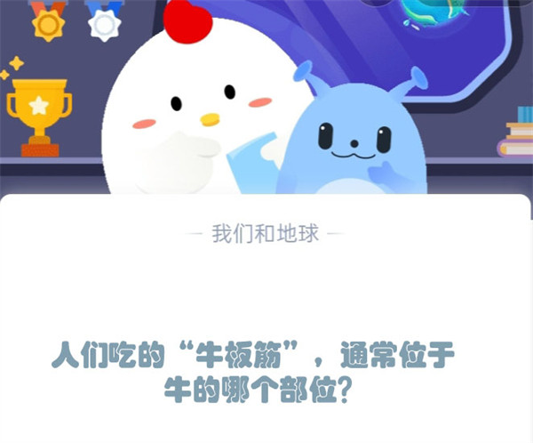 人们吃的“牛板筋”，通常位于牛的哪个部位