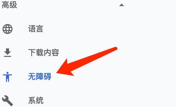 谷歌浏览器Mac版怎么设置字幕样式