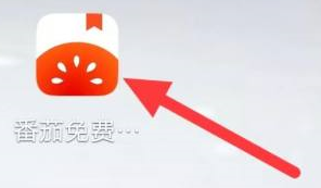 番茄小说怎样查看番茄指南