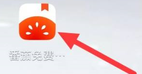 番茄小说怎样查看更多番茄自制