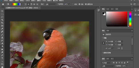 photoshop2020如何调整图像大小