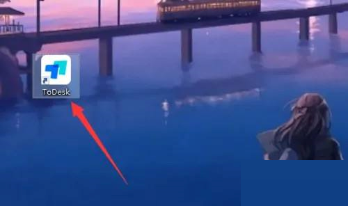 ToDesk怎么设置简体中文