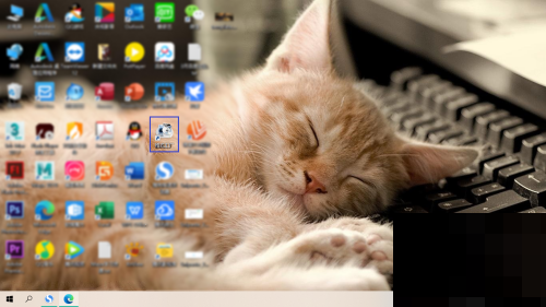 格式工厂怎么查看版本号