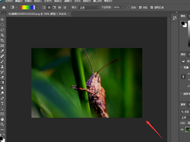 photoshop2020如何新建图层