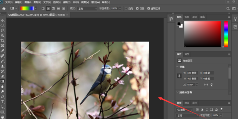 photoshop2020怎么样调整亮度
