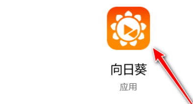 向日葵客户端如何手动设置代理