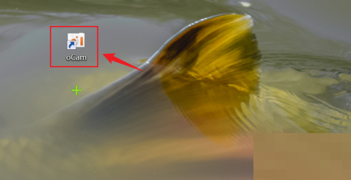 oCam(屏幕录像软件)怎么设置录制包含鼠标