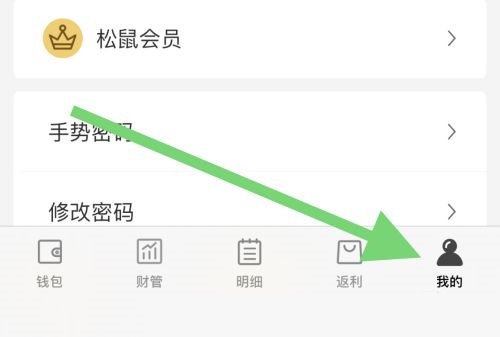 松鼠记账怎么关闭显示账户图标