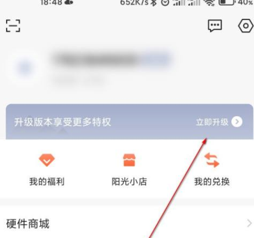 向日葵远程控制如何升级服务