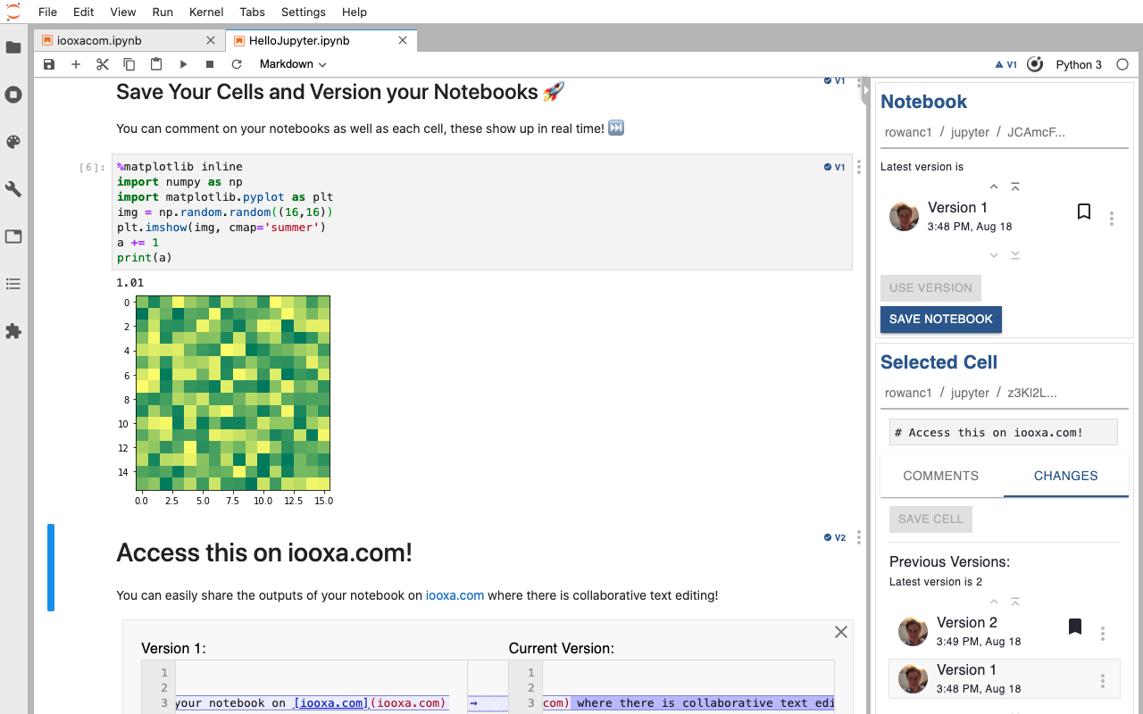 Jupyter Versioning & Comments - by Curvenote