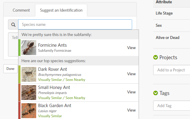 iNaturalist Enhancement Suite