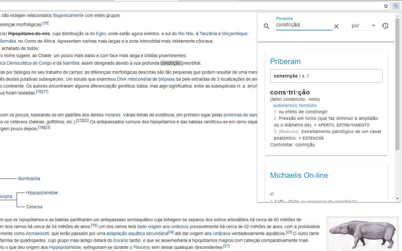 quero ser um dicionário