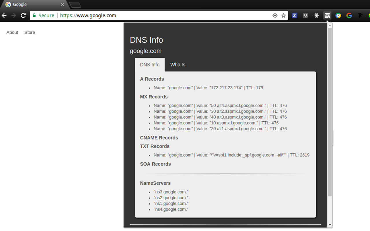 DNS INFO