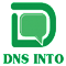 DNS Into