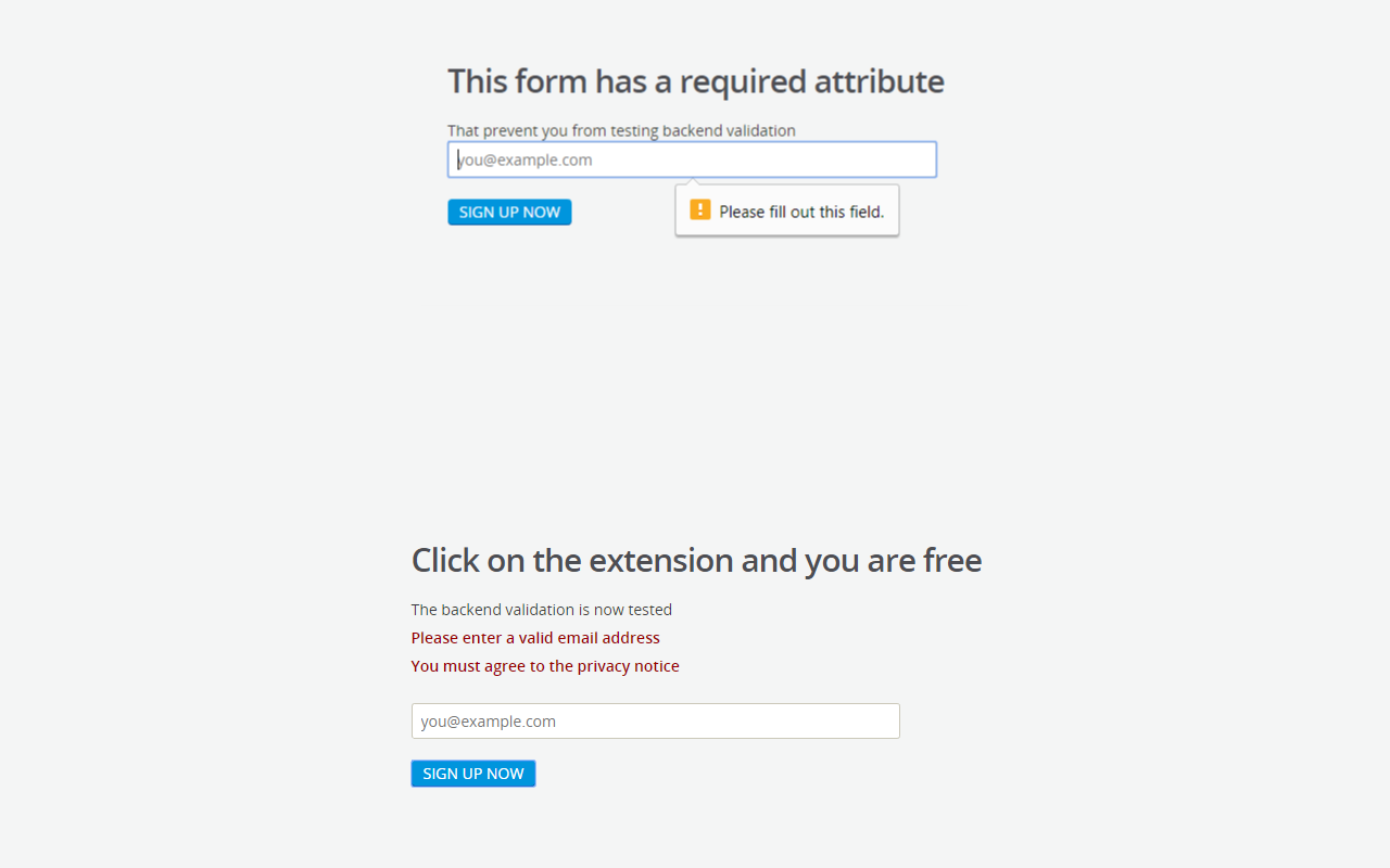 HTML5 Form validation remover
