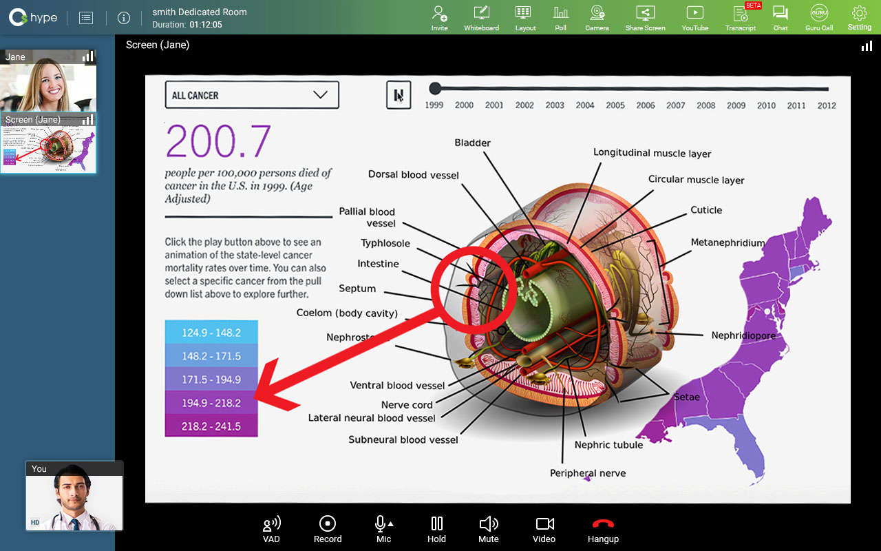 OneScreen Hype Screenshare