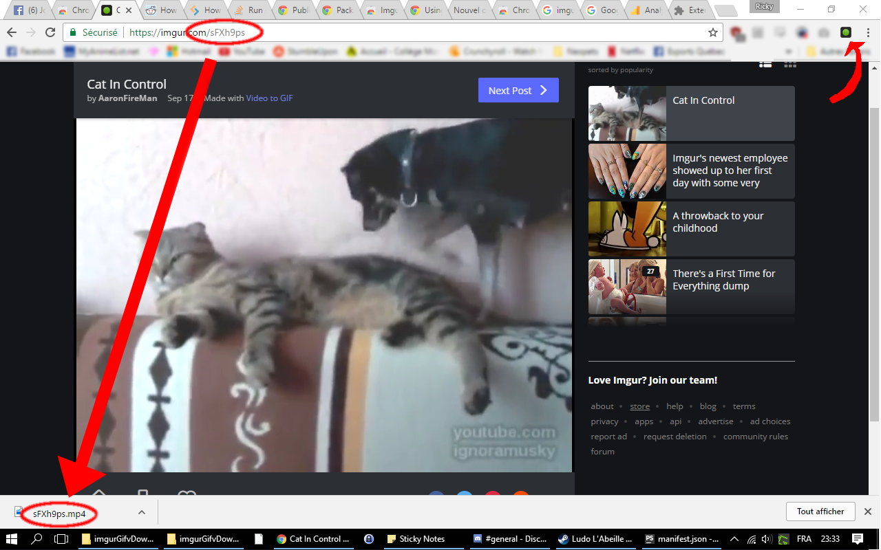 Imgur Gifv as MP4 Downloader
