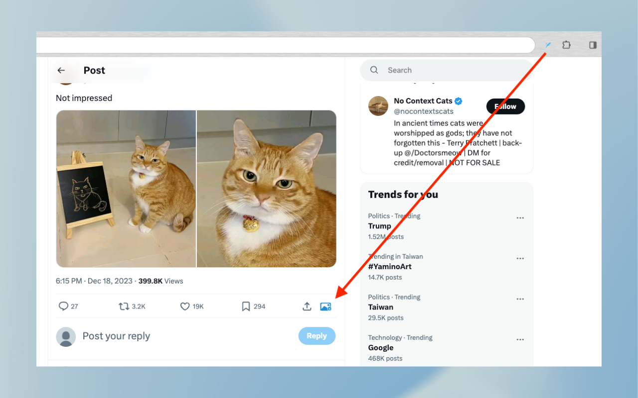 Twitter 视频下载与 GIF 下载器