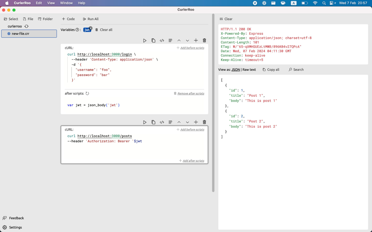 CurlerRoo - REST API client with cURL