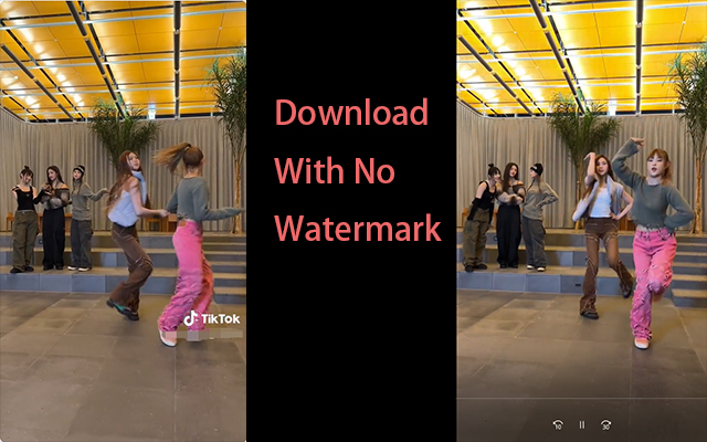 抖音去水印视频下载器-中文版ChatGPT摘要生成器