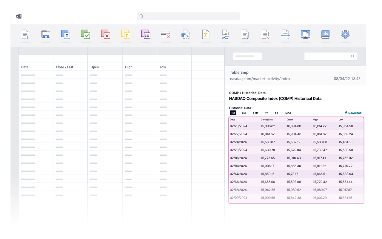 DataSnipper WebSnip Extension