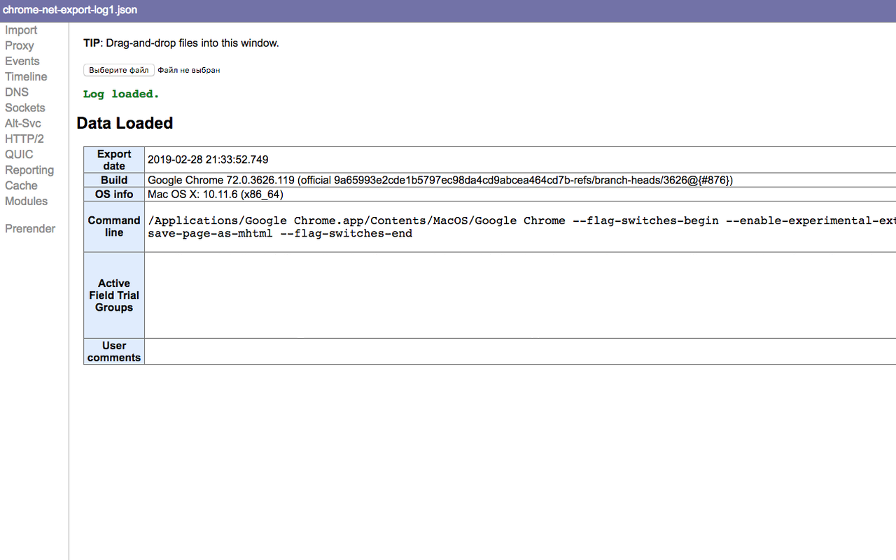 Chromium NetLog dump viewer