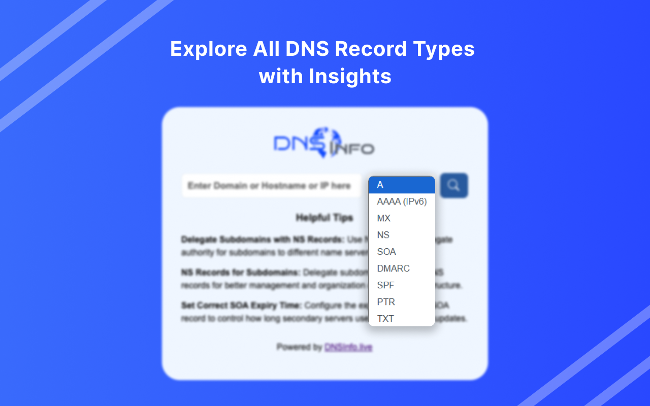 DNS Info: Free DNS Lookup