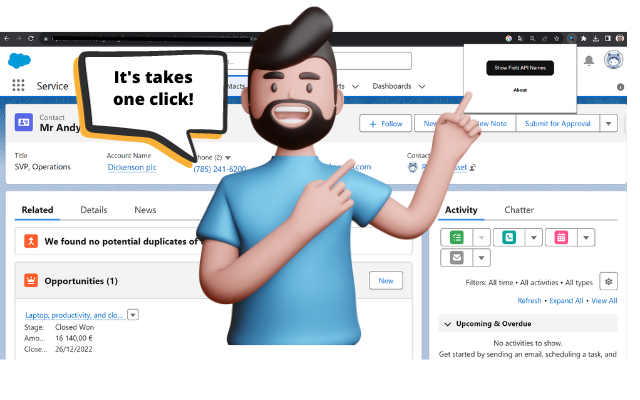 Salesforce Field Detective