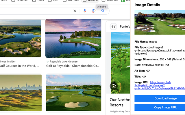 Image Info Viewer for Chrome