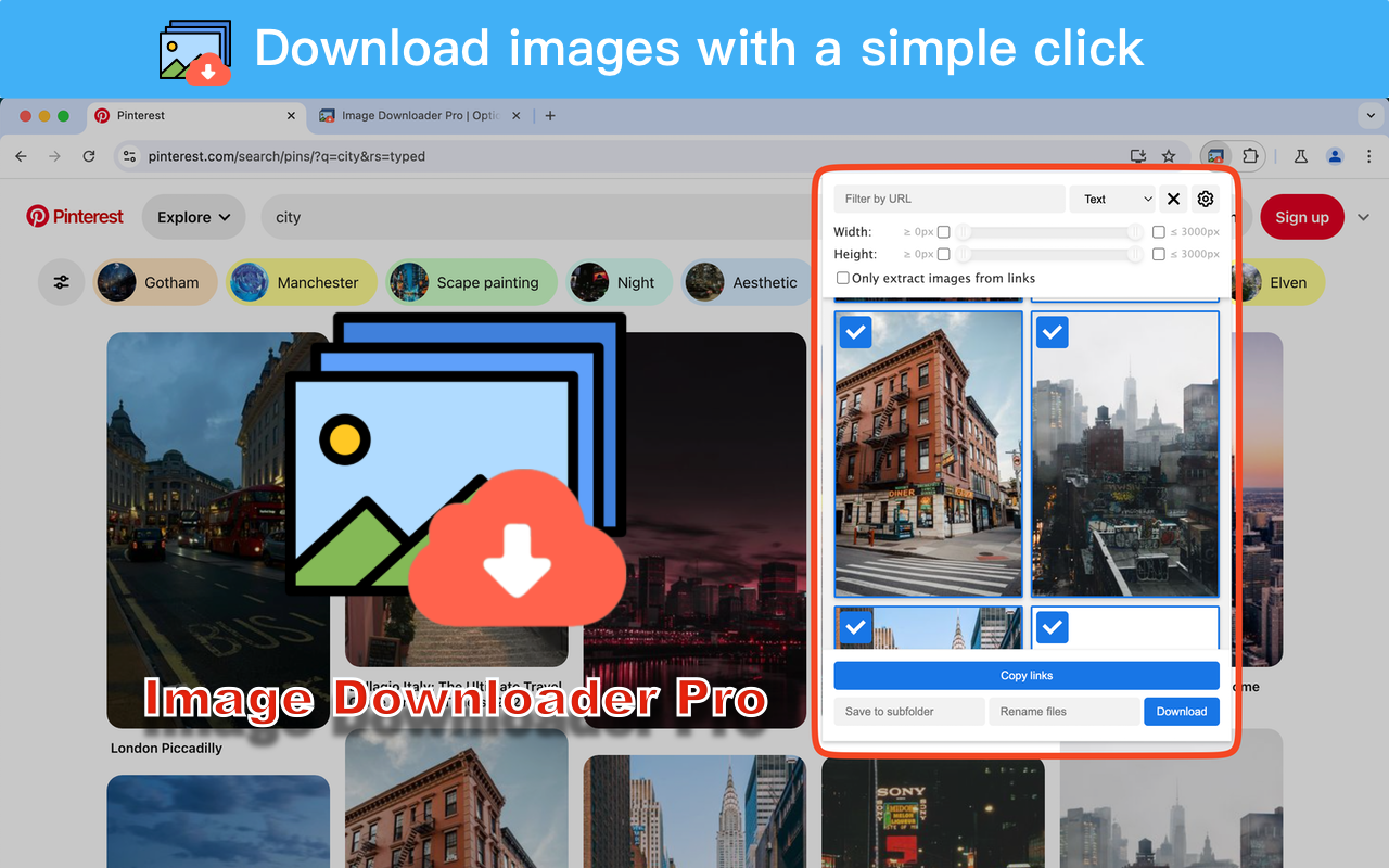 Image Downloader Pro