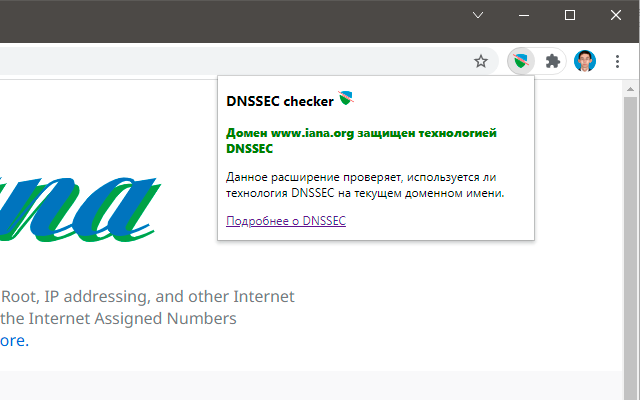 DNSSEC Checker