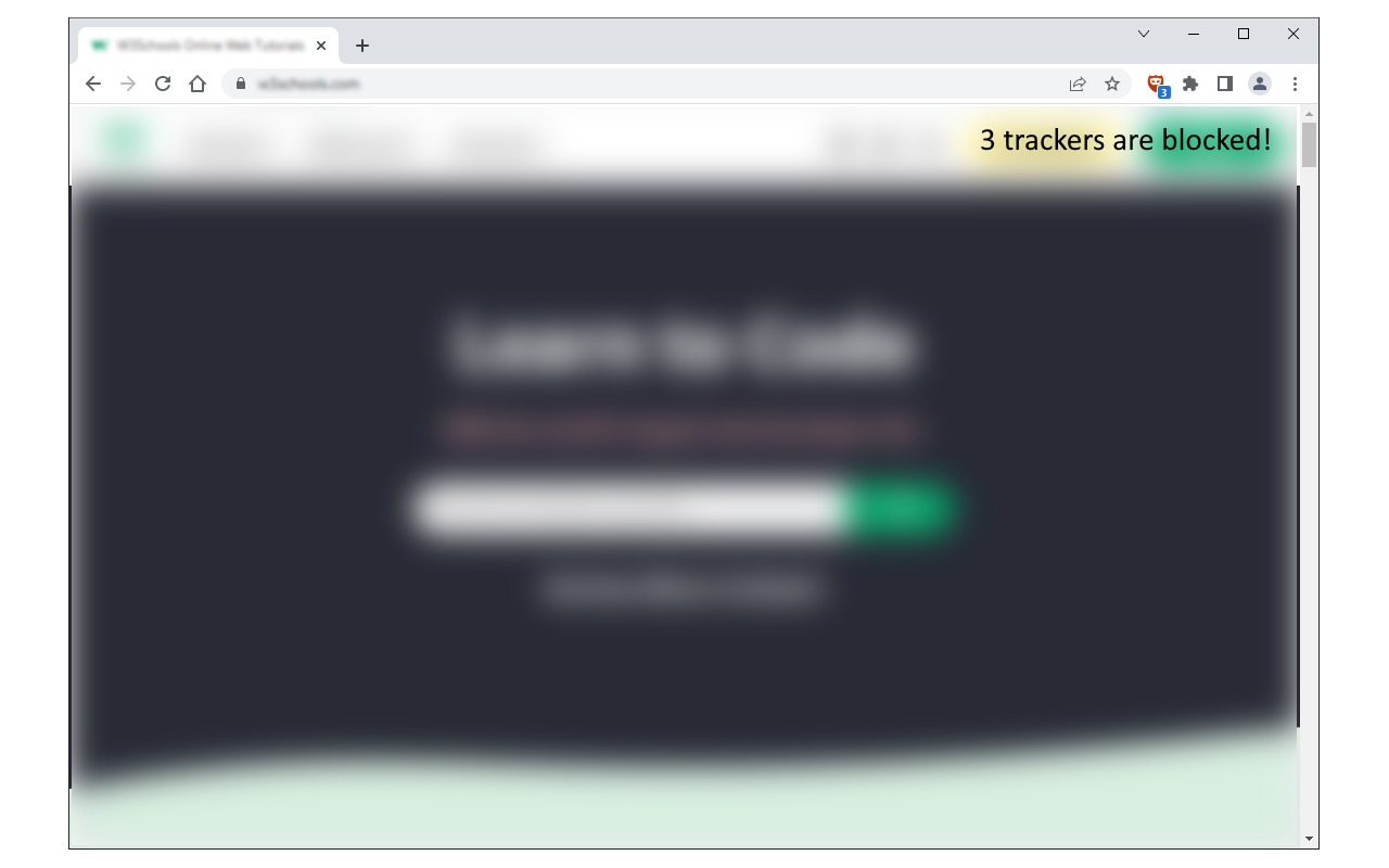 Privacy Protector Plus