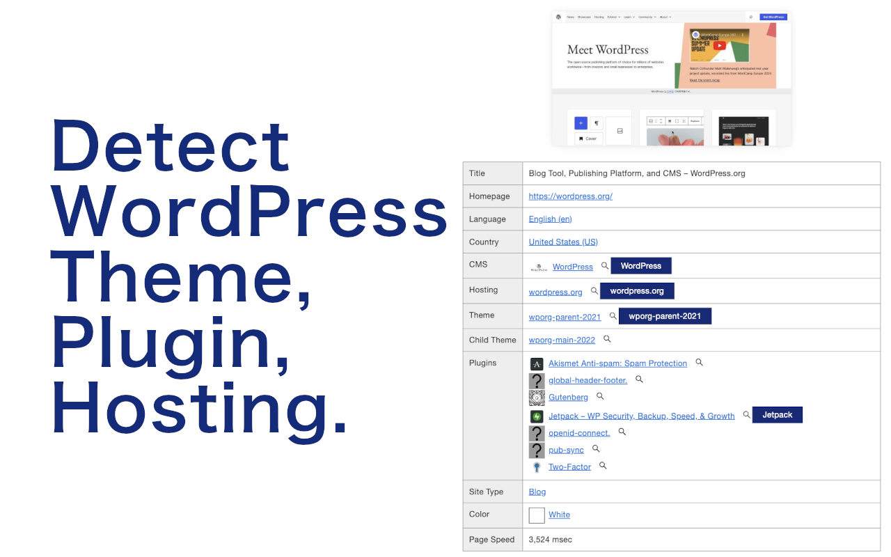 WP-Search - WordPress Theme, Plugin, Hosting Detector