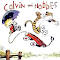 Daily Calvin & Hobbes