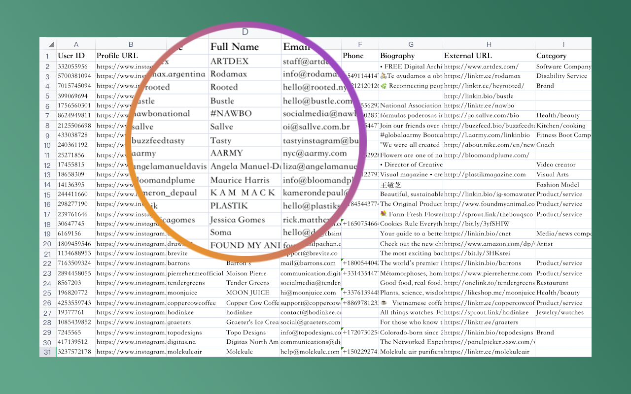 IG点赞导出：提取Instagram帖子点赞者信息