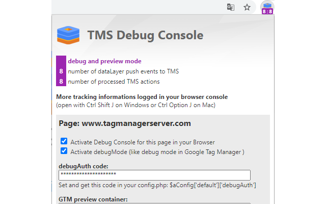 Tag Manager Server Debug Console